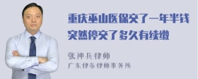 重庆巫山医保交了一年半钱突然停交了多久有续缴