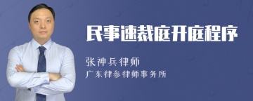 民事速裁庭开庭程序