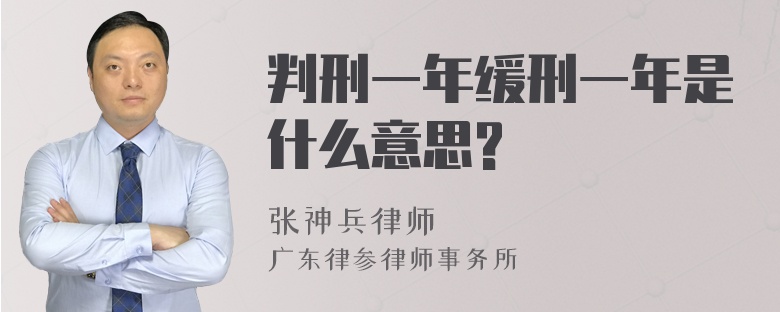 判刑一年缓刑一年是什么意思?