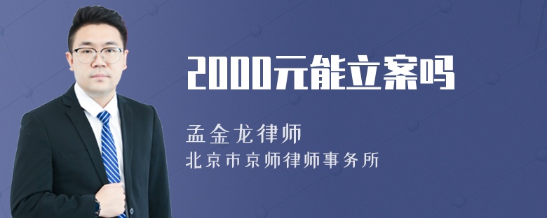 2000元能立案吗