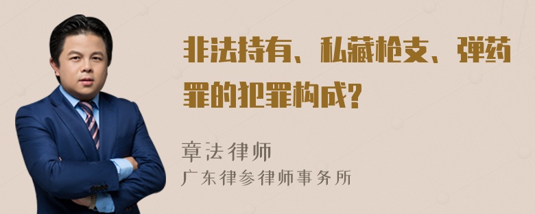 非法持有、私藏枪支、弹药罪的犯罪构成?