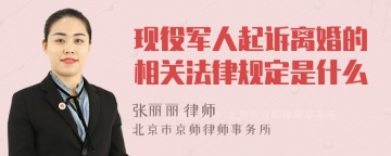 现役军人起诉离婚的相关法律规定是什么