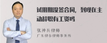 试用期没签合同，到现在主动辞职有工资吗