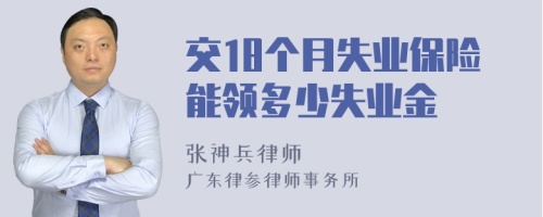 交18个月失业保险能领多少失业金