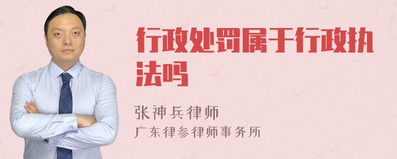 行政处罚属于行政执法吗