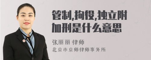 管制,拘役,独立附加刑是什么意思