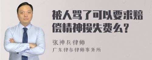 被人骂了可以要求赔偿精神损失费么？