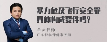 暴力危及飞行安全罪具体构成要件吗?