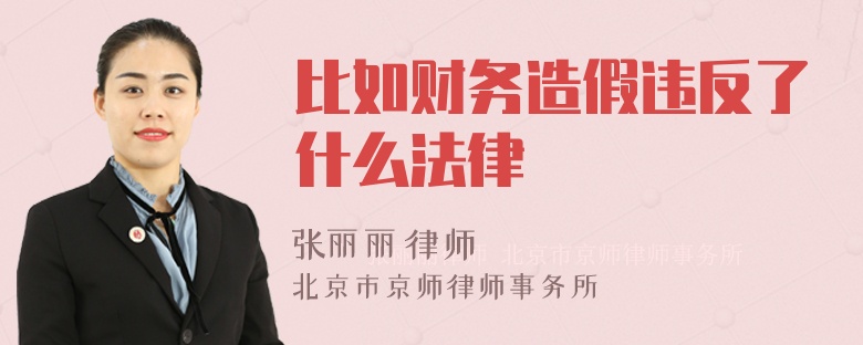 比如财务造假违反了什么法律