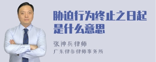 胁迫行为终止之日起是什么意思