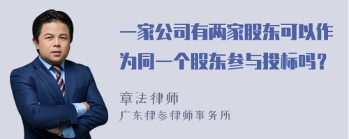 一家公司有两家股东可以作为同一个股东参与投标吗？