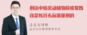 刑法中妨害动植物检疫罪既遂是以什么标准量刑的