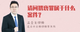 请问猥亵罪属于什么案件？