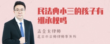 民法典小三的孩子有继承权吗