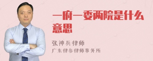 一府一委两院是什么意思