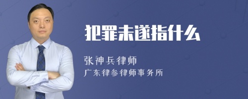 犯罪未遂指什么