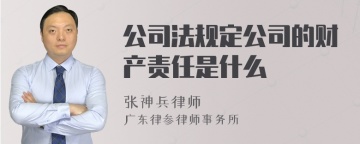 公司法规定公司的财产责任是什么