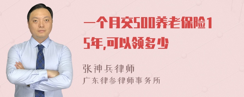 一个月交500养老保险15年,可以领多少