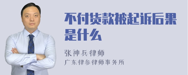 不付货款被起诉后果是什么