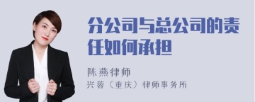 分公司与总公司的责任如何承担