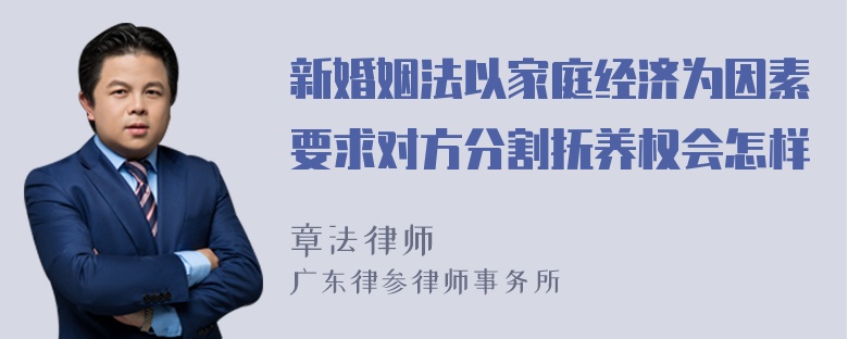 新婚姻法以家庭经济为因素要求对方分割抚养权会怎样