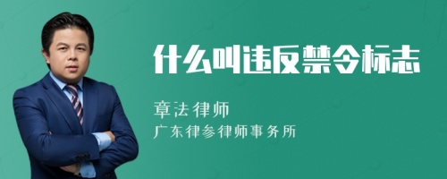 什么叫违反禁令标志