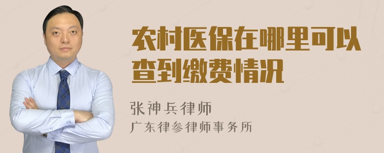 农村医保在哪里可以查到缴费情况