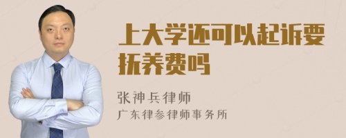 上大学还可以起诉要抚养费吗