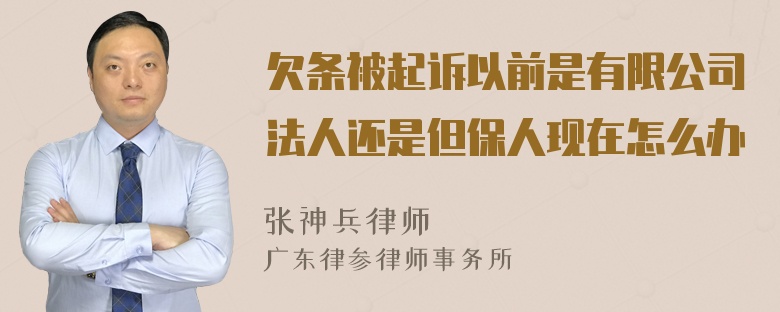 欠条被起诉以前是有限公司法人还是但保人现在怎么办