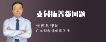 支付抚养费问题