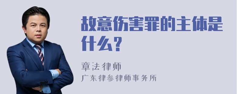 故意伤害罪的主体是什么？