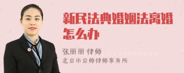 新民法典婚姻法离婚怎么办