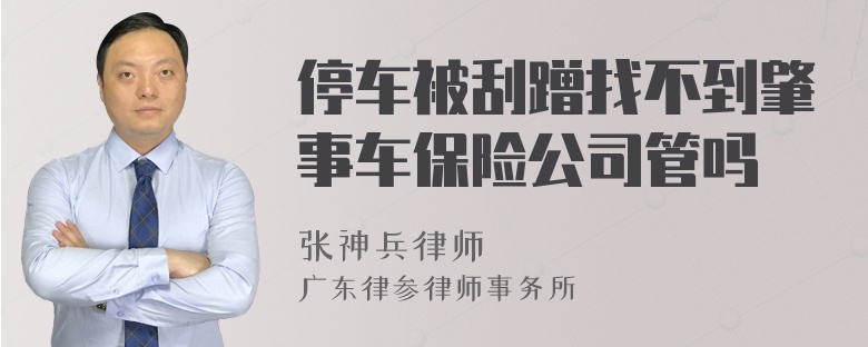 停车被刮蹭找不到肇事车保险公司管吗