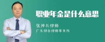 职业年金是什么意思