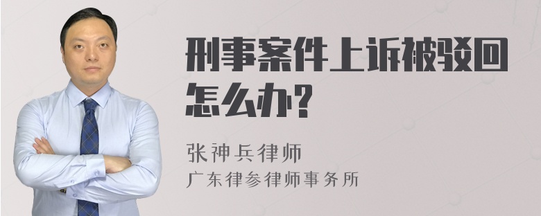 刑事案件上诉被驳回怎么办?