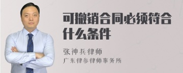 可撤销合同必须符合什么条件