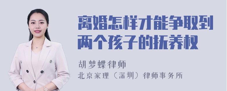 离婚怎样才能争取到两个孩子的抚养权