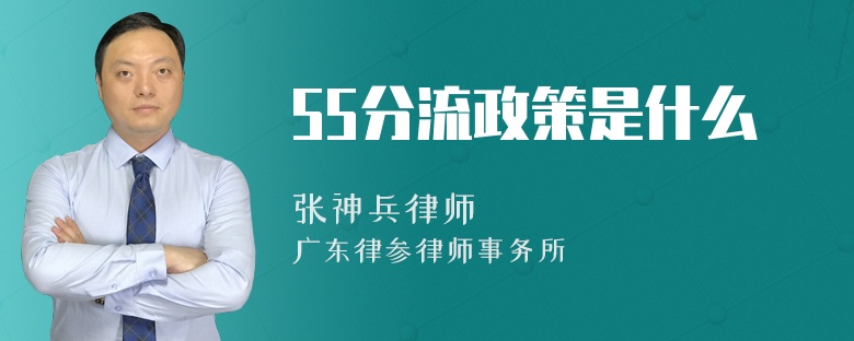 55分流政策是什么