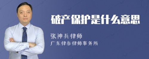 破产保护是什么意思