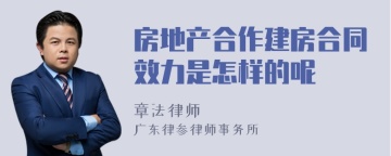 房地产合作建房合同效力是怎样的呢