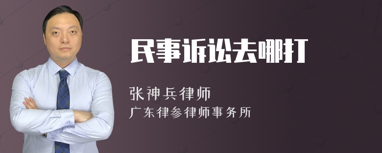 民事诉讼去哪打