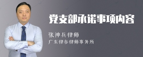 党支部承诺事项内容