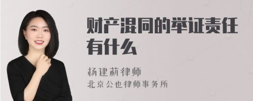 财产混同的举证责任有什么