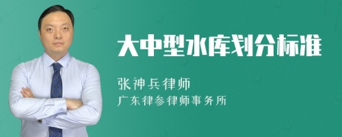 大中型水库划分标准