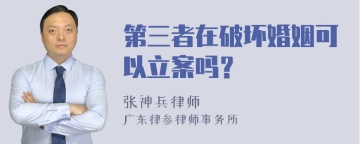 第三者在破坏婚姻可以立案吗？