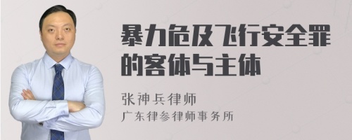 暴力危及飞行安全罪的客体与主体