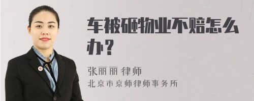 车被砸物业不赔怎么办？