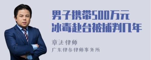 男子携带500万元冰毒赴台被捕判几年