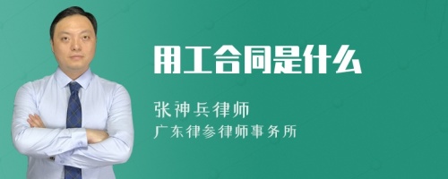 用工合同是什么