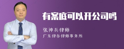 有案底可以开公司吗